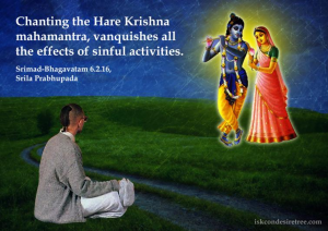 Read more about the article First take First step towards Krishna