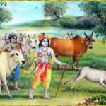 Read more about the article Why Cow Protection is so important especially in India?