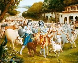 Read more about the article Why all religions should support ban on cow slaughter in India?