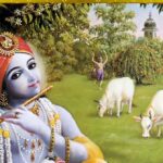 Read more about the article Why Krishna is called Govinda?