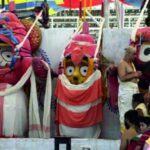 Read more about the article Why Lord Jagannath gets sick?