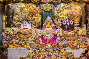 Read more about the article Worshipping Lord Jagannath with love makes us pure & sinless