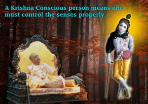 Read more about the article How to control the senses by Krishna Consciousness?