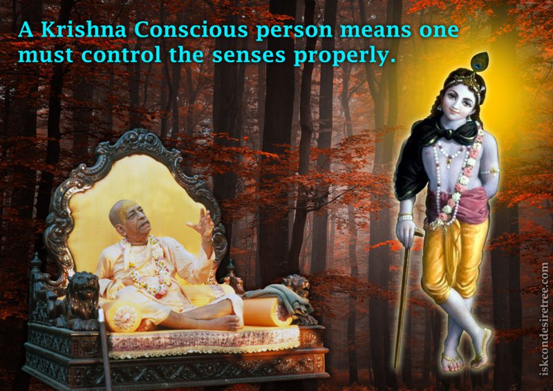 How to control the senses by Krishna Consciousness?