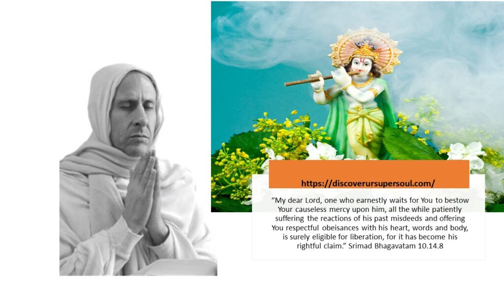 What is the attitude of devotees of Krishna towards suffering?