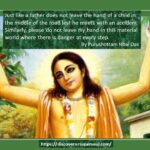 Read more about the article Prayer to Sri Chaitanya Mahaprabhu on the auspicious occasion of Gaur Purnima