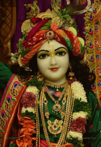 Read more about the article Surrender out of love to Krishna