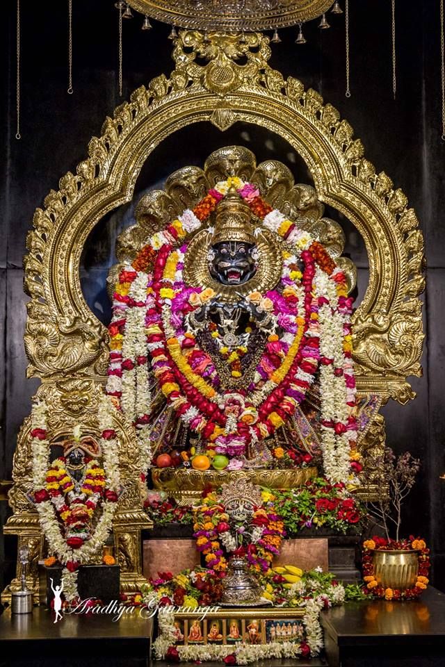 Mayapur Dham Yatra from Newtown, Kolkata. 