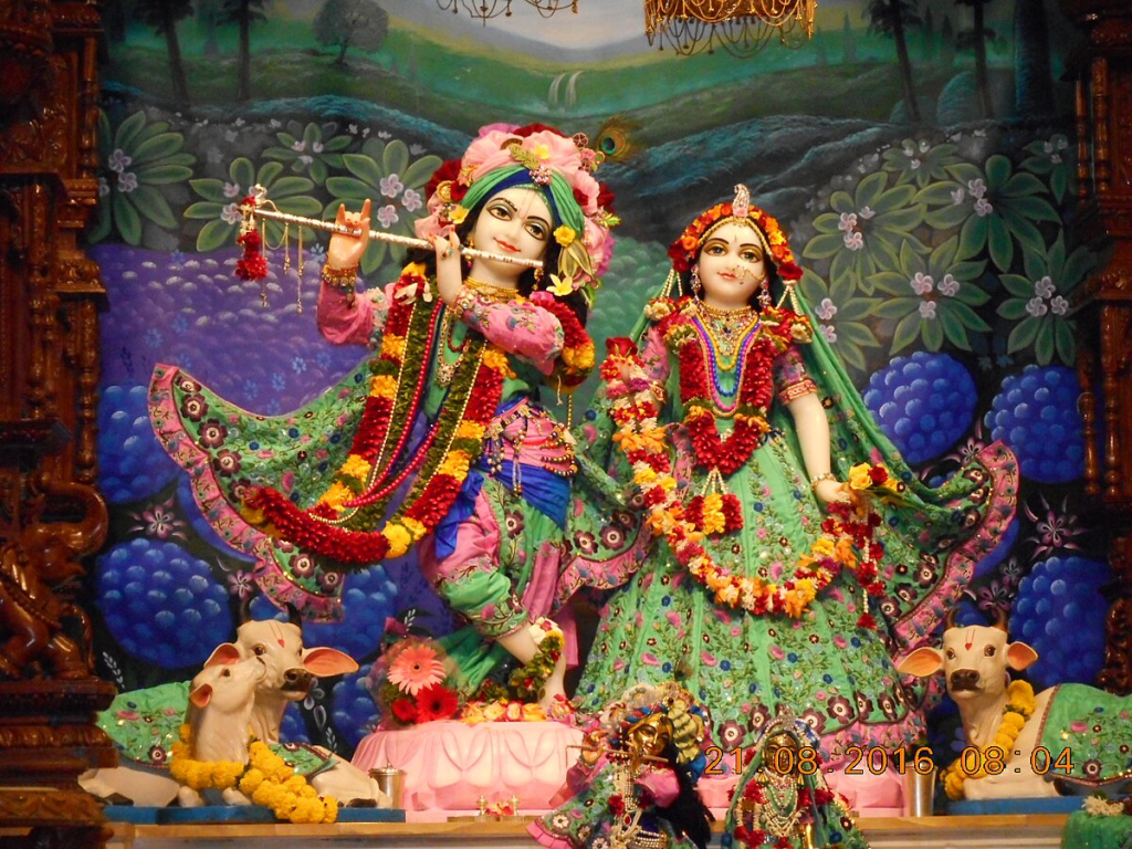 excuse for not practicing devotion to Krishna sincerely