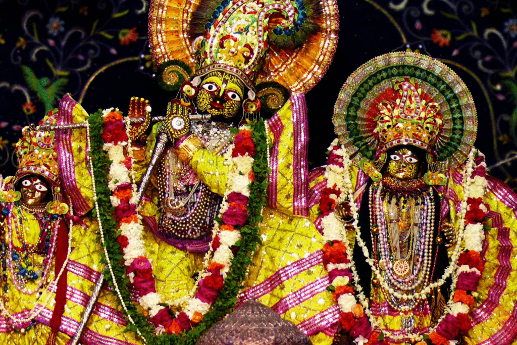 Learn to Love Krishna: Attachment vs Affection | Srimad Bhagavatam 11.20.8